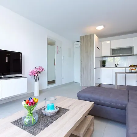 Niko 1 By Interhome Apartment Vantacici